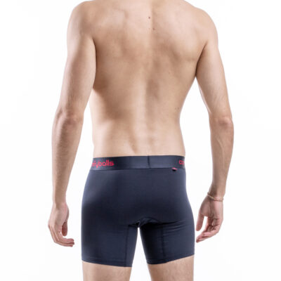 aW1wb3J0LWltYWdlcy80MS0xOV9iYWNr